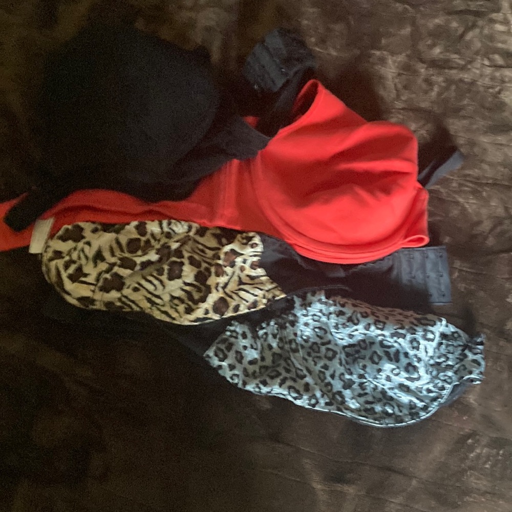 Colored Bras